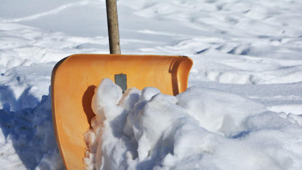 pelle à neige